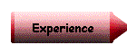 Experience